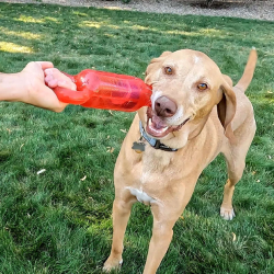 KONG TUG JUMBLER - Jouet Pour Chien