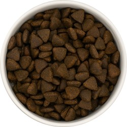 SHELBI Superfood 65 Chien Adulte Saumon d'Ecosse