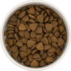 SHELBI Superfood 65 Chien Adulte Boeuf Angus