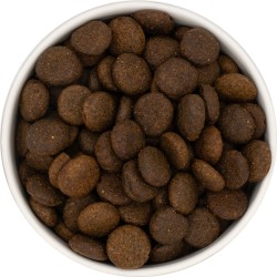 SHELBI Croquettes Sans Céréales Pour Chien Adulte de Grande Race au Saumon Avec de la Truite