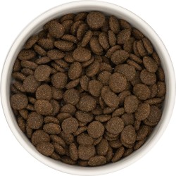 SHELBI Croquettes Chien Adulte Sans Céréale Agneau avec de la Patate douce et de la Menthe