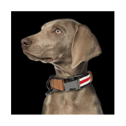 Collier pour chien Heritage - Bleu Blanc Rouge