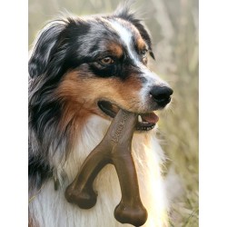 Wishbone Saveur Bacon