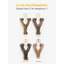 Wishbone Saveur Bacon