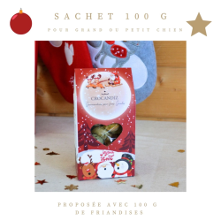 Biscuit de Noël pour Grand Chien
