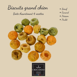 Biscuit de Noël pour Grand Chien