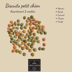 Biscuit de Noël pour Petit Chien