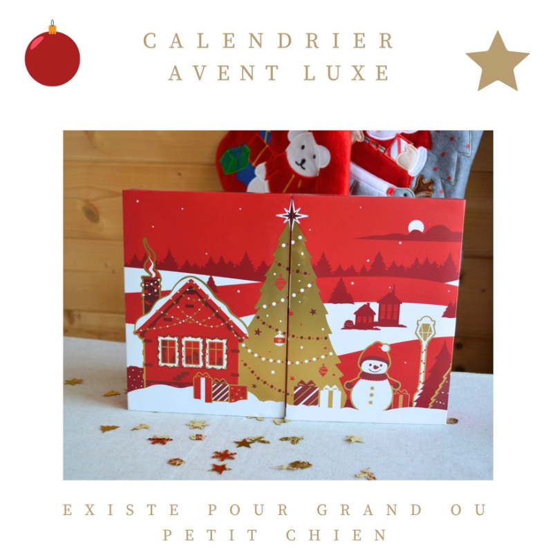 Calendrier de L'Avent pour Grand Chien