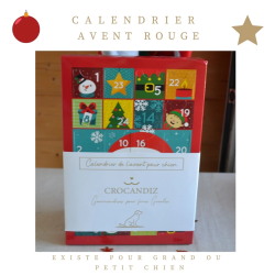 Calendrier de L'Avent pour Chien