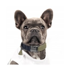 Collier pour Chien KAYA Kaki