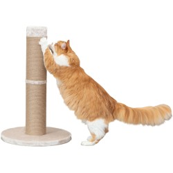 Poteau griffoir XXL Beige