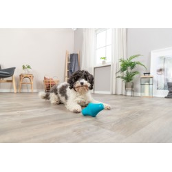 Toupie Snack bleu | Distributeur de Friandises pour Chien