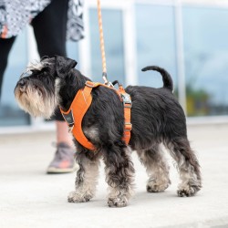 Harnais Dog Copenhagen Comfort Walk Pro™ Rose