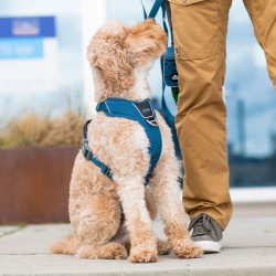 Harnais Dog Copenhagen Comfort Walk Pro™ Rose