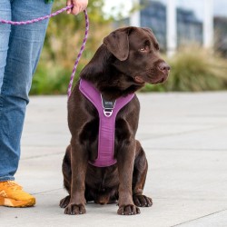 Harnais Dog Copenhagen Comfort Walk Pro™ Rose