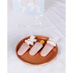 Mélange à Crème Glacée au Poulet et à la Fraise pour Animaux