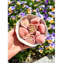 Mélange à Crème Glacée au Poulet et à la Fraise pour Animaux