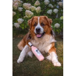 Peluche pour Chien Rosé de Provence