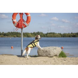 Gilet de flottaison pour Chien