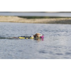 Gilet de flottaison pour Chien