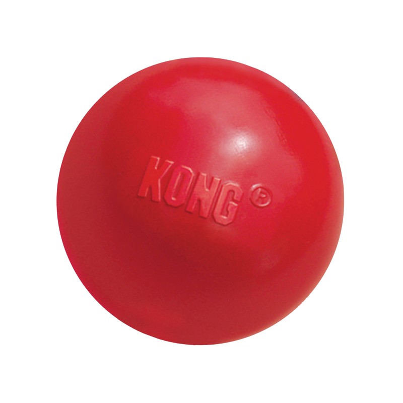 Jouet pour Chien KONG Balle avec Trou