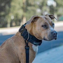 Collier pour Chien avec Poignée Tactique Noir - Spark Paws