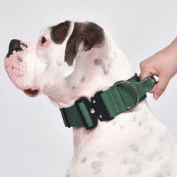 Collier pour Chien avec Poignée Tactique Vert - Spark Paws