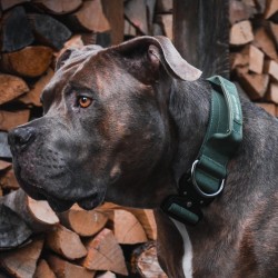 Collier pour Chien avec Poignée Tactique Vert - Spark Paws