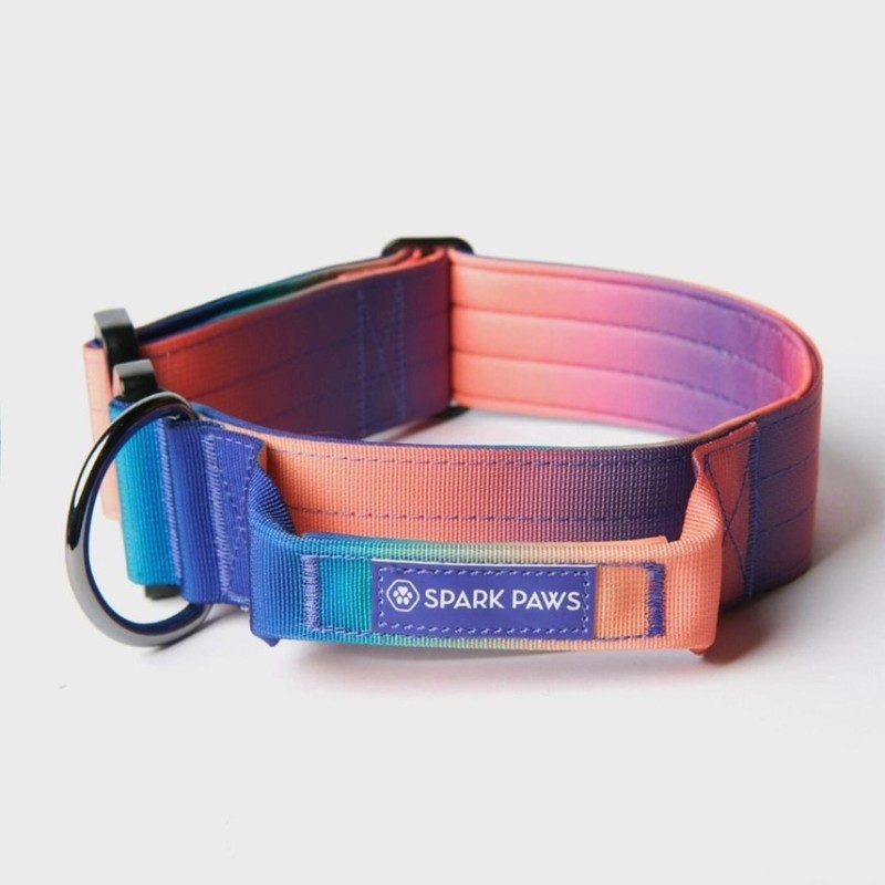 Collier pour Chien avec Poignée Tactique Kaléidoscope - Spark Paws