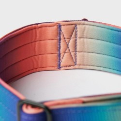 Collier pour Chien avec Poignée Tactique Kaléidoscope - Spark Paws