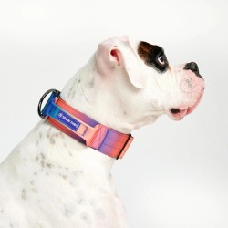 Collier pour Chien avec Poignée Tactique Kaléidoscope - Spark Paws