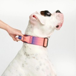 Collier pour Chien avec Poignée Tactique Kaléidoscope - Spark Paws