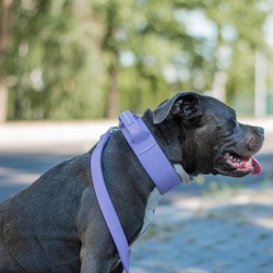 Collier pour Chien avec Poignée Tactique Lila - Spark Paws