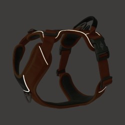 Harnais Dog Copenhagen Comfort Walk Pro™ Sable