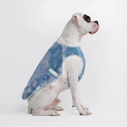 Spark Paws Veste Rafraîchissante pour Chien Bleu Glace