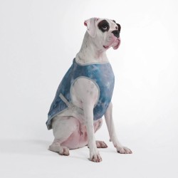 Spark Paws Veste Rafraîchissante pour Chien Bleu Glace