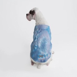 Spark Paws Veste Rafraîchissante pour Chien Bleu Glace