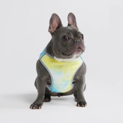 Spark Paws Gilet Rafraîchissant Pour Chien - Tempête Tropicale