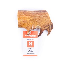 Bois de Daim - Mastication Chiot