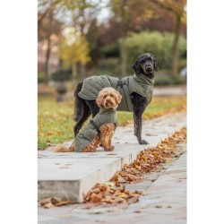 Manteau pour chiens Minot Vert Olive