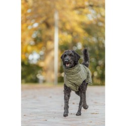 Manteau pour chiens Minot Vert Olive