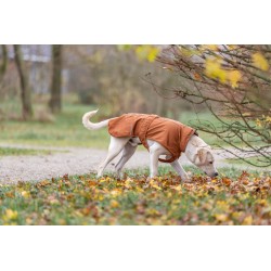 BE NORDIC Imperméable CityStyle Dublin Rouille