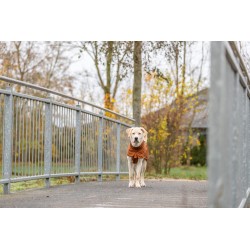 BE NORDIC Imperméable CityStyle Dublin Rouille