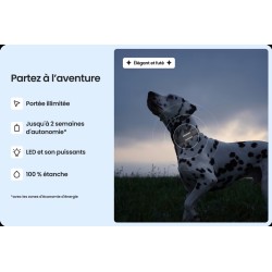Tractive DOG 6 – Traceur GPS & Santé pour chien