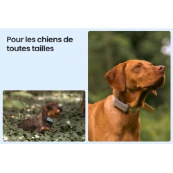 Tractive DOG 6 – Traceur GPS & Santé pour chien