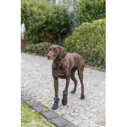 Bottes de Protection Longues pour Chien Walker Active