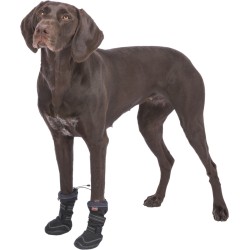 Bottes de Protection Longues pour Chien Walker Active