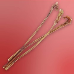 Nerf de Bœuf Naturel pour Chien - Anti-Tartre & Mastication
