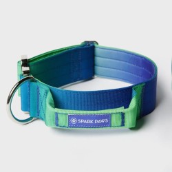 Collier pour Chien avec Poignée Tactique Lime Wave - Spark Paws